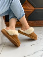 آگ پشت باز شتری - تصویر 4